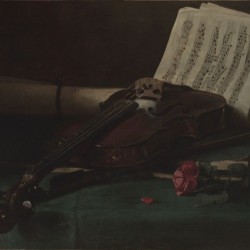 Still life violin